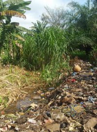 Gestion des dechets (1)
